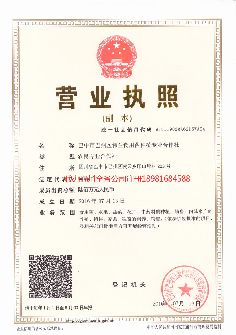 阳春阳春伟兰食用菌种植专业合作社