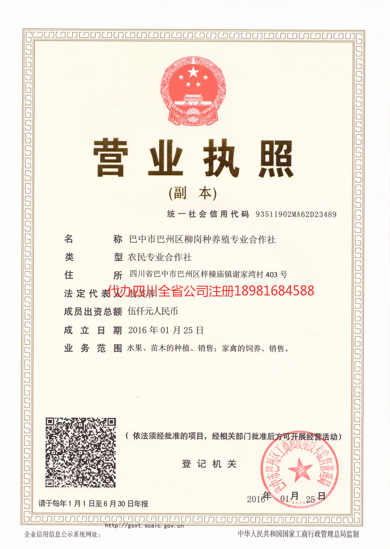 阳春阳春柳岗种养殖专业合作社